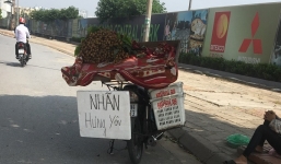 Bao nhiêu phần trăm nhãn trên thị trường Hà Nội là nhãn lồng Hưng Yên? 