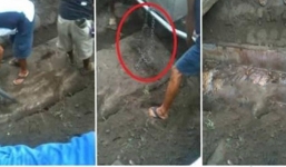 Bốc mộ ông nội sau 15 năm, gia đình sốc khi thấy thứ này bên trong quan tài