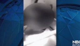 Clip: Bảo mẫu tự quay video nhét trẻ vào tủ lạnh rồi đăng lên mạng