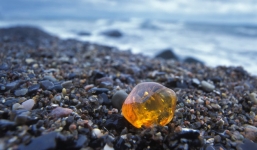 Tưởng là ngọc hổ phách, người phụ nữ nhặt về và điều kinh hoàng xảy ra