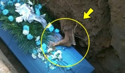 Cả nhà lạnh gáy khi thấy thứ này trên quan tài của người cha quá cố