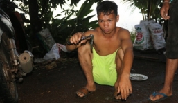 Bình Phước bác thông tin đỉa tấn công người