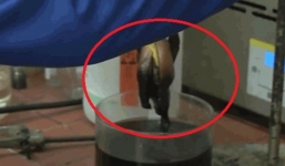 Nhiều người sẽ suy nghĩ lại có nên ăn hamburger khi xem thí nghiệm đáng sợ này