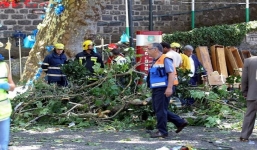 Cây 200 tuổi đổ xuống khiến 13 người chết, 49 người bị thương 