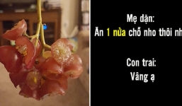 Dở khóc dở cười với những kiểu bé vâng lời cha mẹ