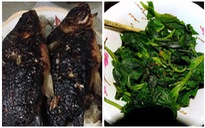 Đến ra mắt, nàng 'tiểu thư' biến gian bếp nhà chàng thành thảm họa, còn lên mạng kể xấu bố mẹ người yêu