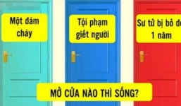 7 câu đố hóc búa khiến thám tử cũng phải lúng túng
