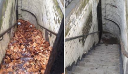 Mua nhà vệ sinh bỏ hoang, người phụ nữ khiến mọi người phải kinh ngạc