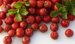 Không cần tìm đâu xa, ăn 4 loại trái cây này của Việt Nam cũng đủ tốt cho sức khỏe