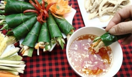 Những công dụng chữa bệnh cực hay từ lá sung