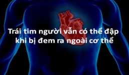 15 bí ẩn về cơ thể người có thể bạn không biết