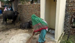 Gia đình tan nát vì không có nhà vệ sinh