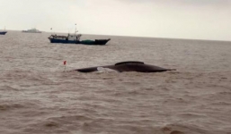 Tàu cá Trung Quốc đâm nhau, 9 người thiệt mạng