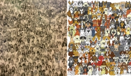 10 bức ảnh đố vui thách thức cả những tinh mắt nhất