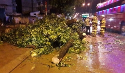 Hà Nội: Gió lốc quật đổ cây, giao thông tê liệt hàng giờ