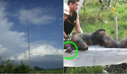 Bình Thuận: Người đàn ông bị sét đánh cháy đen không thể nhận dạng