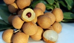 Những người tuyệt đối không nên ăn nhãn nếu không muốn rước bệnh vào người