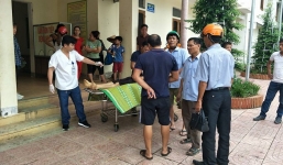 Trâu nổi điên húc thủng ngực, 2 người thương vong