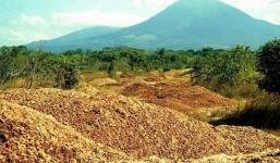 Hiện tượng bất ngờ sau khi đổ 12.000 tấn vỏ cam xuống khu bảo tồn thiên nhiên