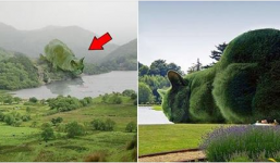 Bức ảnh mèo uống nước hồ thu hút hơn 3 triệu lượt xem 