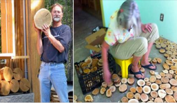 Xin cây đổ về đầy nhà, ông lão khiến ai cũng trầm trồ khi nhìn thấy thành quả