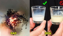 Nếu không muốn bị ngộ độc hãy kiểm tra thật kỹ những thực phẩm này trước khi sử dụng