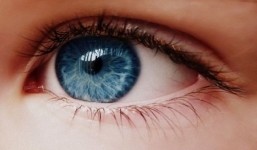 Chỉ trong 1 phút, màu mắt của bạn sẽ thay đổi cực hay với cách này