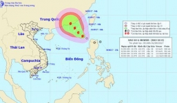 Bão số 8 giật cấp 10 đổ bộ vào Hồng Kông, Trung Quốc