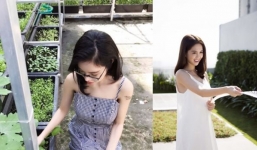 Cận cảnh vườn rau sạch xanh mướt trong những biệt thự triệu đô của sao Việt.