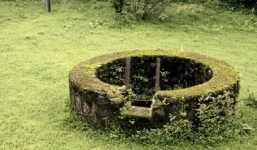 Câu chuyện bác nông dân, cái giếng và bài học sâu sắc được rút ra