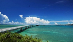 Khoảnh khắc hạnh phúc của cặp đôi biến thành bi kịch khi người đàn ông rơi xuống cầu thiệt mạng