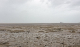 Hy hữu: Siêu bão Irma hút sạch nước khỏi vịnh và nhiều bờ biển 