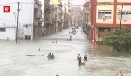 Video: Siêu bão Irma biến thủ đô Cuba thành 'bể bơi khổng lồ' 