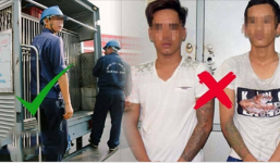 Thực hư thông tin “xe bắt chó giả ở TP.HCM” khiến người dân hoang mang