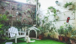 Bình minh trong căn hộ bốn mùa ngập sắc hoa