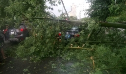 Bão số 10 gây mưa lớn, cây đổ đè lên xe biển xanh tại Huế