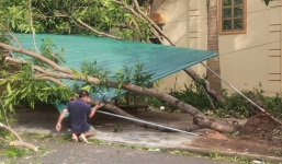 Trưởng thôn tử nạn trong lúc chặt cây sau bão số 10 ở Hà Tĩnh