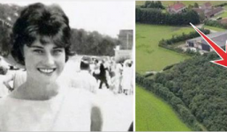 Người đàn ông trồng 6.000 cây xanh khi vợ mất, 17 năm sau bí mật ngọt ngào được hé lộ