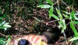 Đòi học lái xe không được, nam thanh niên bỏ nhà vào rừng ăn lá ngón