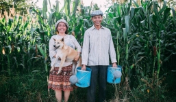 Câu chuyện xúc động về bộ ảnh cưới “chăn trâu-mót lúa” của đôi vợ chồng Sóc Trăng