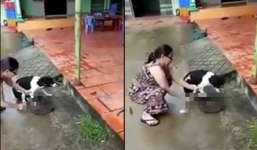 Trần tình bất ngờ của người phụ nữ chặt chân chó gây phẫn nộ