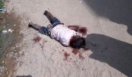 Bé trai Ấn Độ bị 17 con chó hoang hung dữ tấn công đến chết