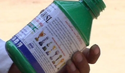 Cay cú vì con bị bạn bắt nạt, ông bố bóp miệng, đổ thuốc sâu vào mồm bạn học của con