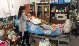 Hình ảnh cô gái trẻ nằm ôm bạn trai gầy gò trên giường bệnh khiến nhiều người cảm động