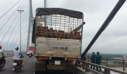 Tài xế chạy xe lên cầu Mỹ Thuận nhảy sông tự vẫn