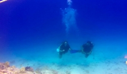 Tấm ảnh bọt khí hình 'bóng ma' sau lưng thợ lặn khiến người xem lạnh người