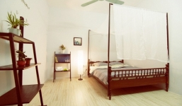 Cảm nhận không khí miền nhiệt đới trong căn hộ Tiwala