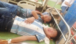 Bị ong rừng tấn công, 15 người phải nhập viện