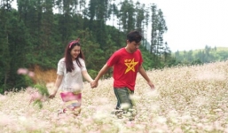 9X quỳ gối cầu hôn bạn gái giữa cánh đồng hoa tam giác mạch gây sốt MXH