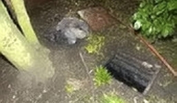 Thi thể đứa trẻ được tìm thấy dưới cống, cảnh sát điều tra và phát hiện sự thật rợn người về hung thủ